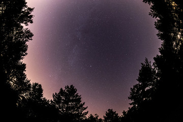 Naklejka premium sky