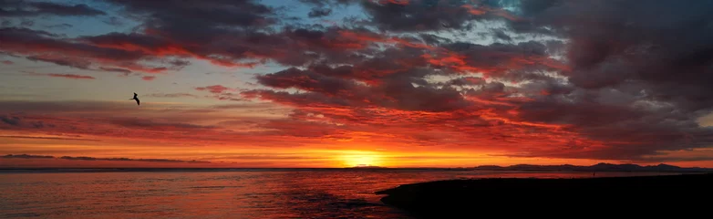 Gardinen Panoramic view on dramatic sunset over Tárcoles river meets the ocean. Río Grande de Tarcoles and the sea with silhouette of frigatebird against colorful, redddish backlighted sunset. Costa Rica. © Martin Mecnarowski