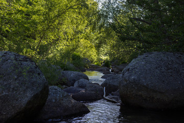 Rivière ombragée