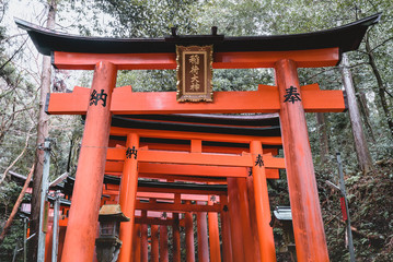 Fototapeta na wymiar Fushimi Inari Shrine, shrine, Torii