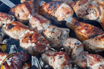 Making barbecue on the fire, view close-up