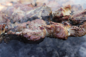 Making barbecue on the fire, view close-up