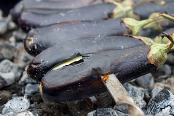 Roast eggplant on the bonfire