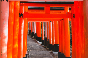 Fushimi Inari Shrine, shrine, Torii