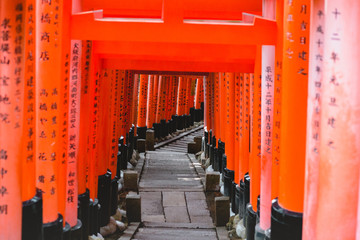 Fushimi Inari Shrine, shrine, Torii