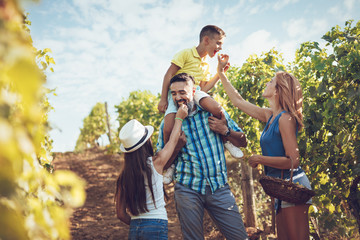 Family In The Vineyard