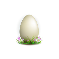 element for design, easter egg with grass