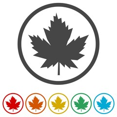 Vector Maple Leaf Icon, 6 Colors Included