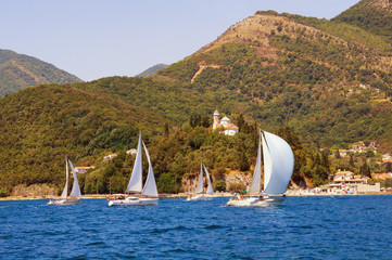 Summer landscape with sailboats.  Montenegro, Bay of Kotor ( Adriatic Sea )