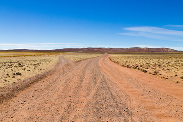 Fototapeta na wymiar Bolivian dirt road view,Bolivia