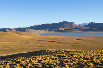 Morejon lagoon view, Bolivia