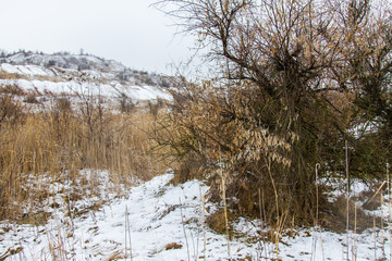Snow-covered Tavri steppe in winter