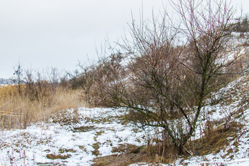 Snow-covered Tavri steppe in winter