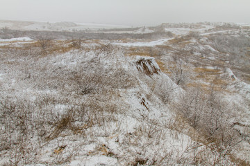 Snow-covered Tavri steppe in winter