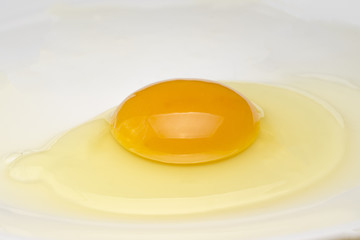 raw egg white and yolk close-up isolated on white