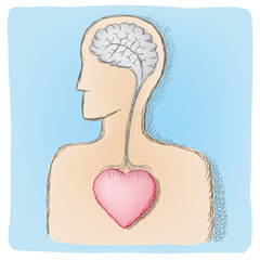 head and heart connected organs