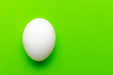White egg on a bright green background.