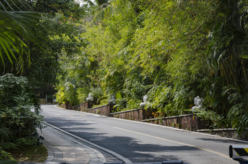 Obraz premium road on a tropical island