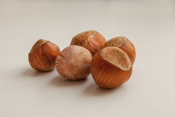 Five Hazelnuts. Fresh organic filbert on white background. Nut macro. Collection.