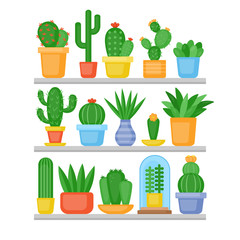Cactus and succulents plants set