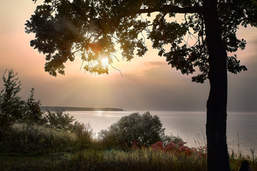 Autumn is joy, or sadness? The rays of the setting sun over the Volga River Bay (Russia) in the autumn evening with a glade and a tree in the foreground
