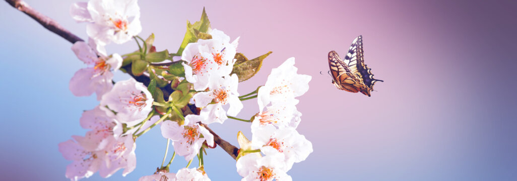 Der Fr&uuml;hling ist da!
