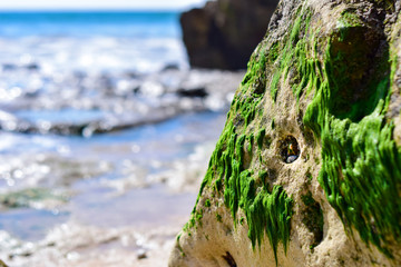 Waves on Falesia beach