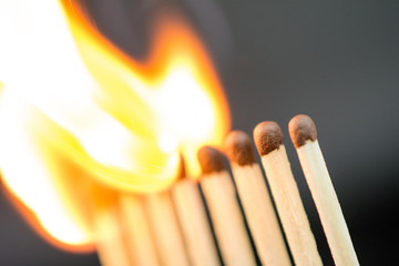 burning matches on a dark background illegally money concept, close up,  selective focus , blurred neutral background