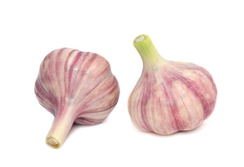 Fototapeta premium Garlic isolated on white background