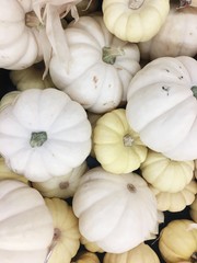 White Pumpkins