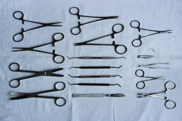 surgical instruments and tools including scalpels, forceps and tweezers arranged laid out on a blue fabric after washing to dry for a surgery. veterinary clinic