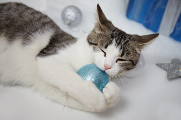 A cat is playing with a toy toy. New Year's Eve blue. under a white Christmas tree