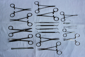 Fototapeta premium surgical instruments and tools including scalpels, forceps and tweezers arranged laid out on a blue fabric after washing to dry for a surgery. veterinary clinic