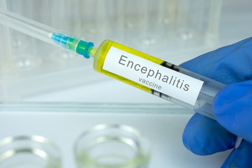 Vaccination healthcare concept. Hands of doctor or nurse in medical gloves with medical syringe ready for injection a shot of Japanese Encephalitis vaccine. close up, selective focus