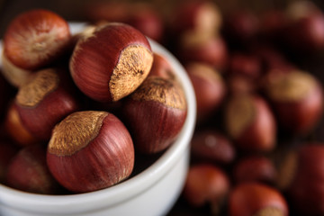 Hazelnuts in white ceramic bowl