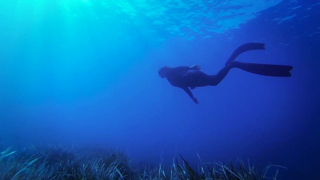 Woman freediving in the blue sea of corsica
