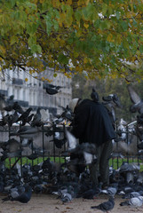 Paris solitaire