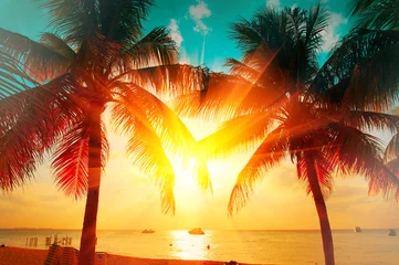 Foto op Canvas Zonsondergangstrand met tropische palm over mooie hemel. Palmen en mooie hemelachtergrond. Toerisme, vakantie concept achtergrond. Palmen silhouetten over oranje zon © Subbotina Anna