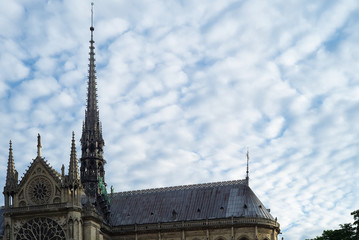 Fototapeta na wymiar Notre Dame Steeple and Roof, Paris, France