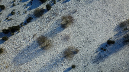 Aerial view of winter frozen forest covered in snow