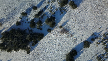 Aerial view of winter frozen forest covered in snow