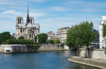 Fototapeta na wymiar Cathedral of Notre Dame and the Seine, Paris, France