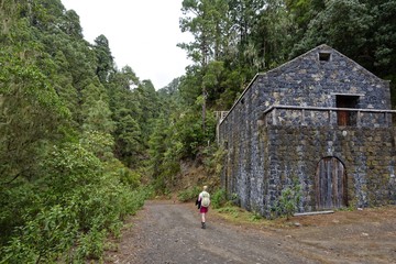 Teneriffa - Órganos-Höhenweg 