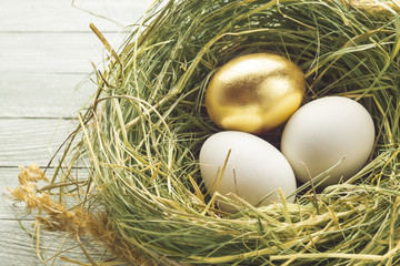 One gold and two ordinary eggs in the nest. Financial success, luck.