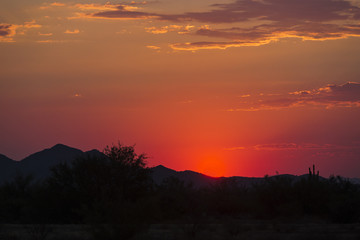 Fototapeta na wymiar A pink sunset in the desert