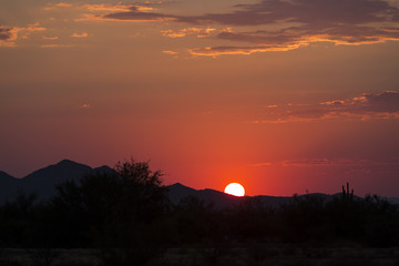 A pink sunset in the desert