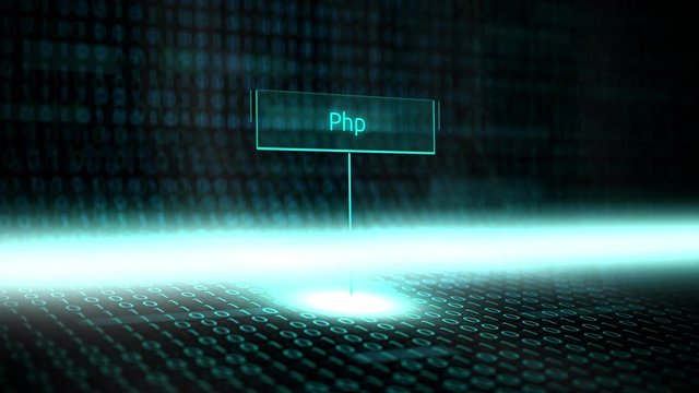 Digital landscape software defined typography with futuristic binary code - PHP