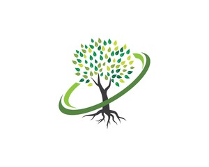 Obraz premium Tree icon logo template