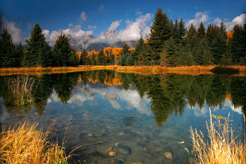 October morning reflection of trees and Tetons