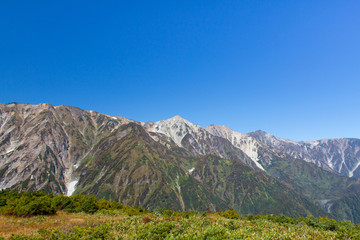 白馬八方尾根の紅葉／白馬三山／長野県白馬村